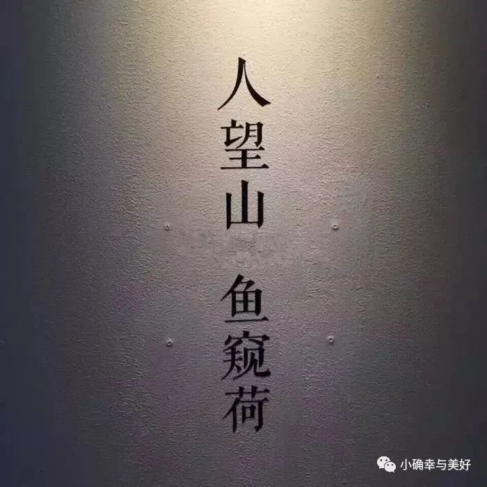 小学生理财感受,理财半年后感受
