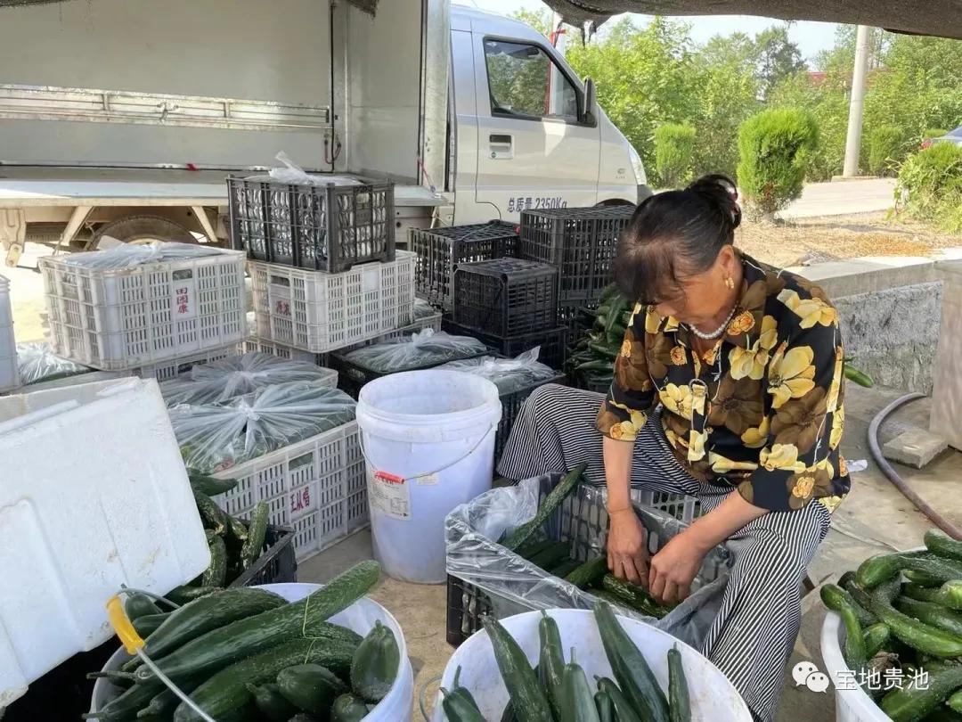村级集体经济发展经验做法,发展壮大村集体经济思路和想法