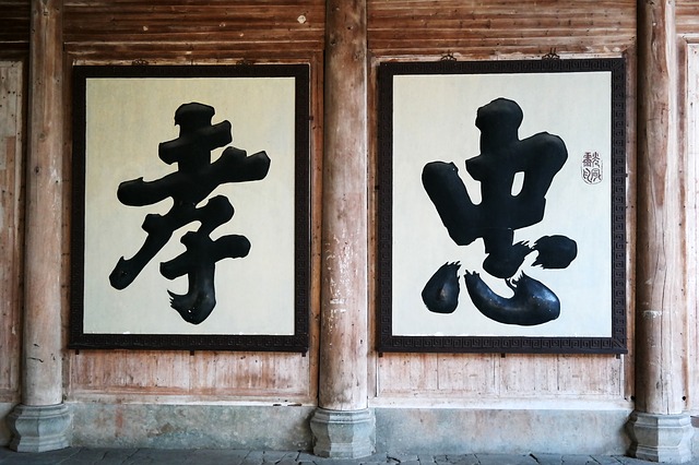 宅家里太无聊,宅在家里很无聊该看什么好