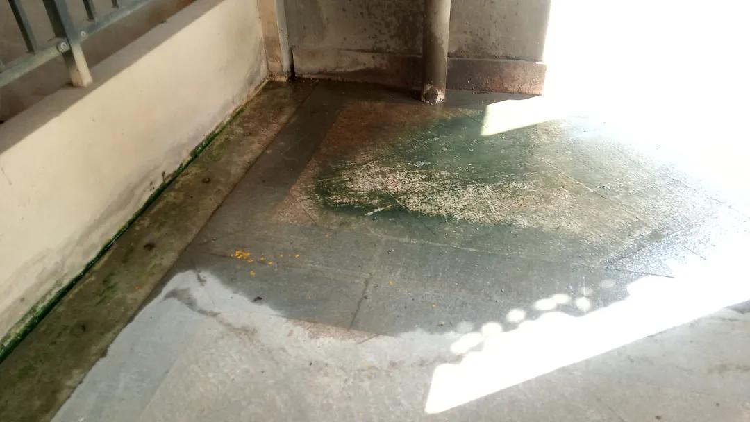 中房和万科物业哪个好,中房物业vs金佳物业