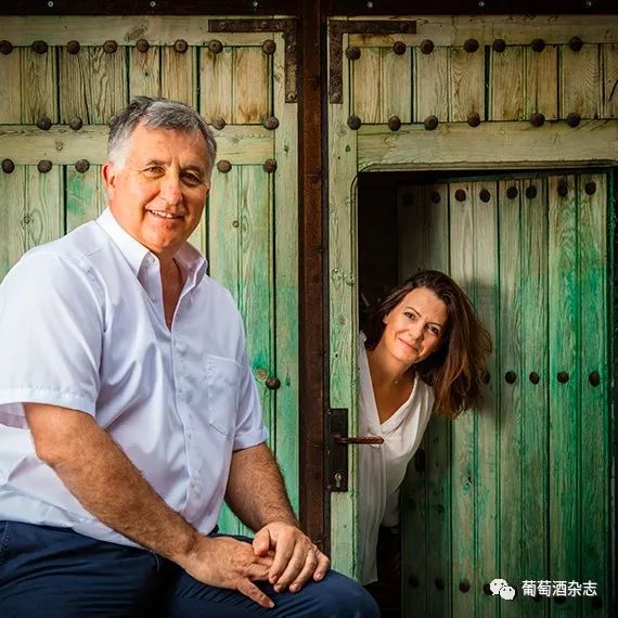 对蜜雪冰城产品的认知,露喜龙产区