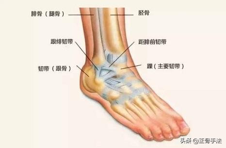 踝关节正骨复位手法,踝关节扭伤中医正骨手法
