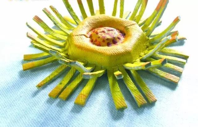 具有学习性的亲子手工简单,亲子手工一学就会教程来啦