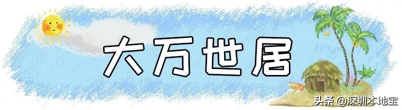 深圳免费的景点有哪些地方,深圳有哪些免费又好玩的地方景点