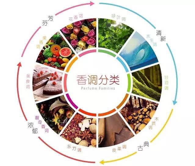 你身上有她的香水味，闻起来没有我的贵｜写给香水小白的入门秘籍