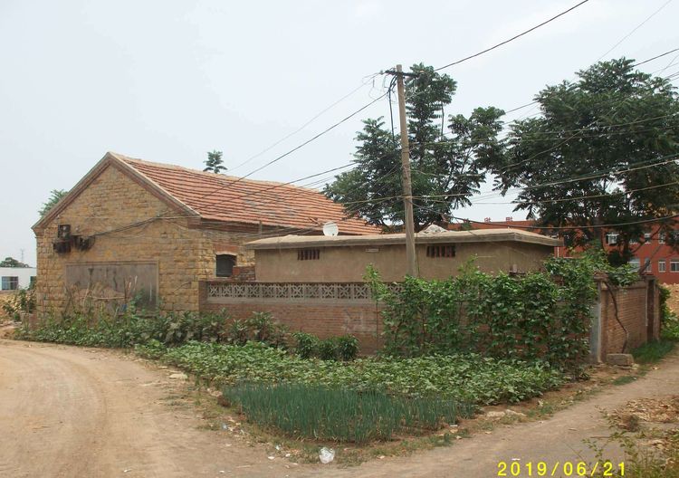 外国游客夸赞中国,外国友人赞美中国