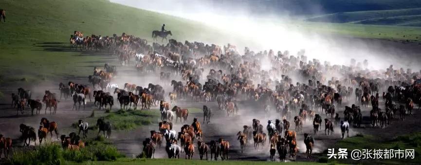 张掖景点免门票政策最新,张掖景点门票免费政策最新