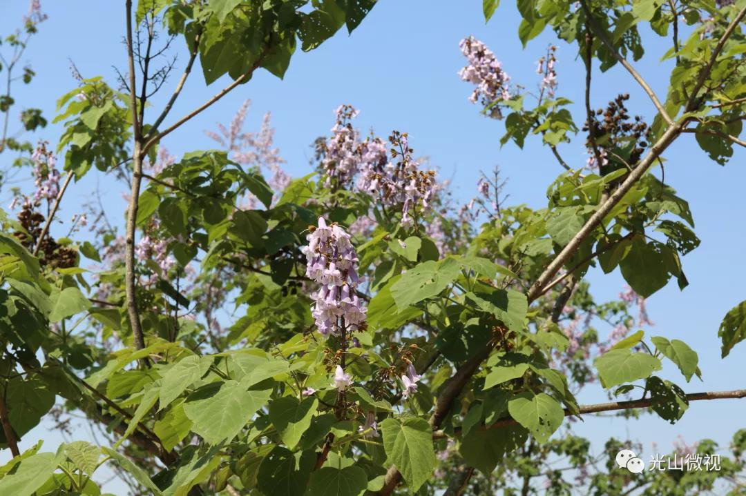 十大山清水秀风景旅游景点,风景秀美的十大必去景点排名