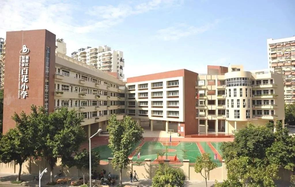 从实验生源统计表说起,一个家长眼中真实的百花小学