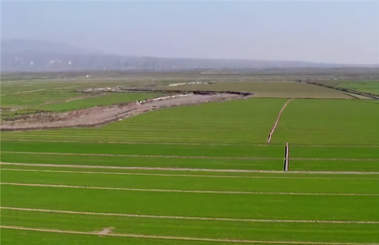 陕西银桥乳业新加坡,陕西省排名靠前的民营企业有哪些