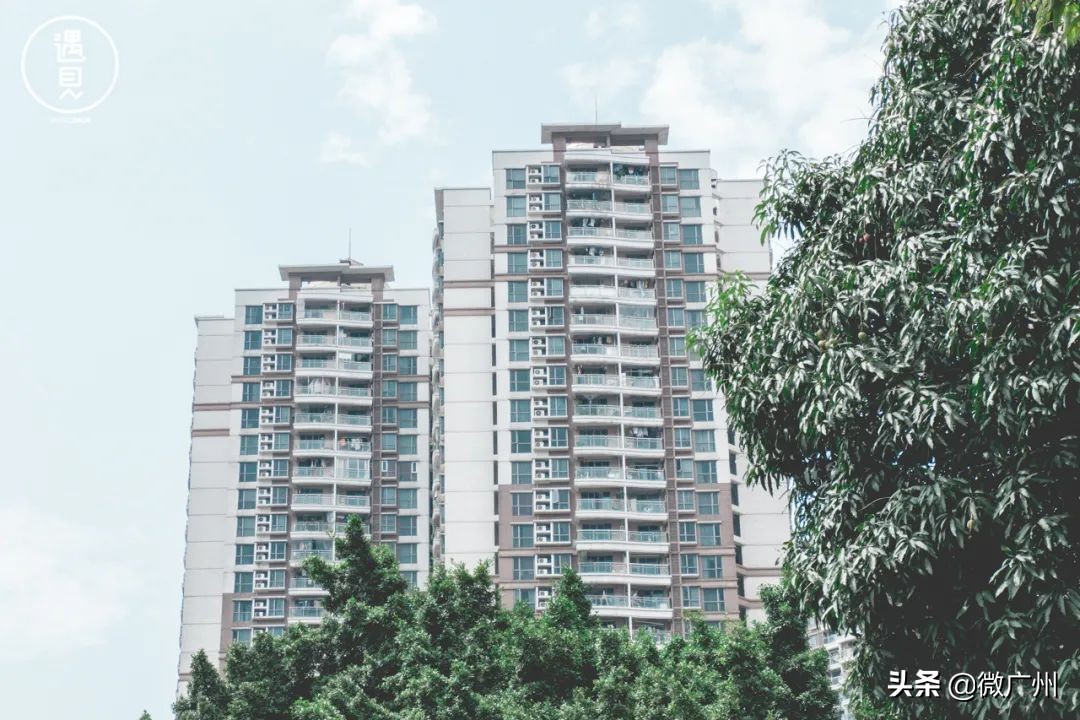 广州芳村未来发展趋势,广州荔湾芳村cbd