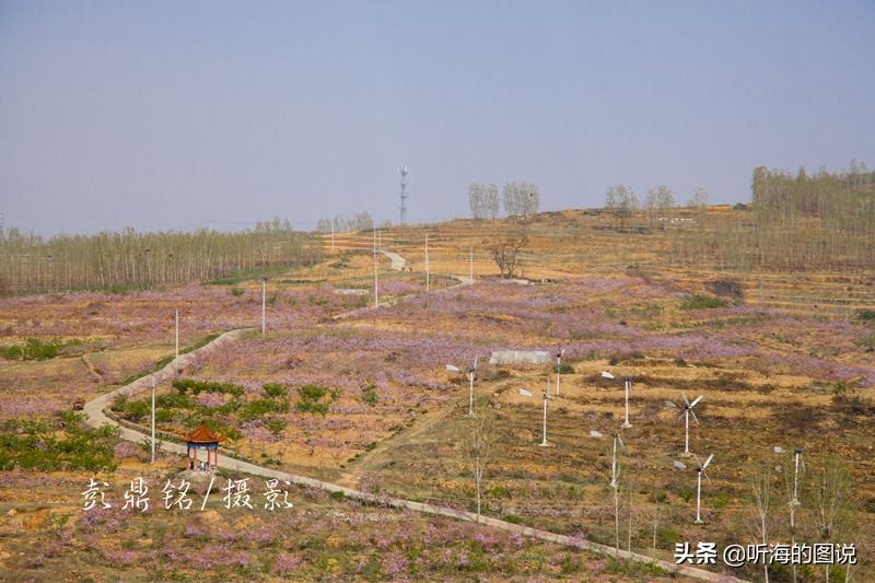 平邑县铜石镇丹山图片,铜石镇丹山