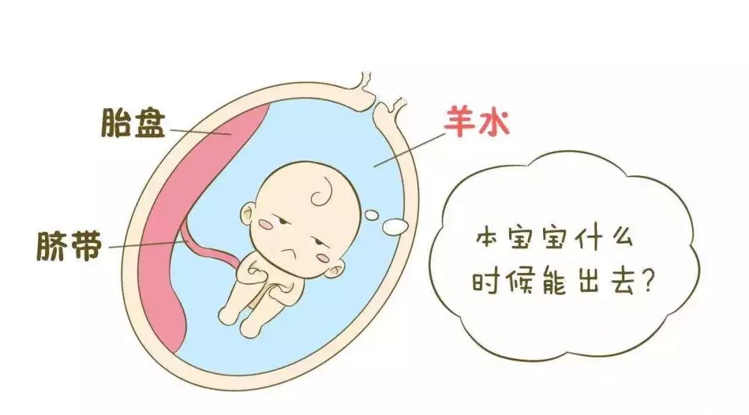 破水了要不要赶紧去医院,破水了是不是很危险