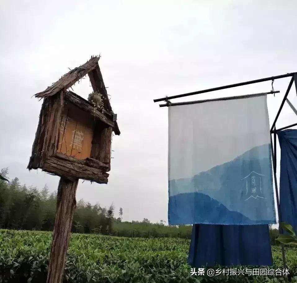 农学院对乡村振兴的促进作用,半农学院