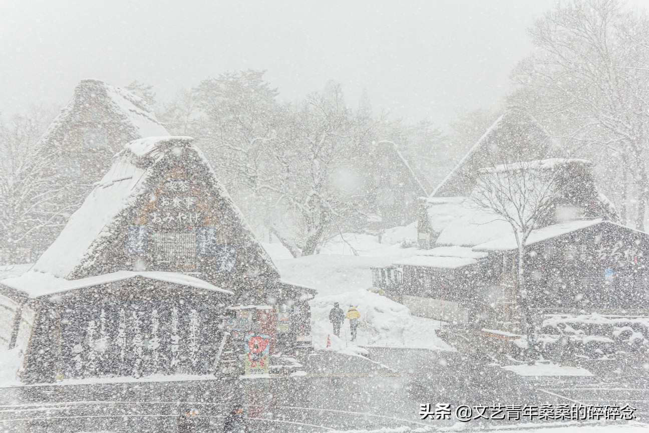 冬季日本的自驾游攻略,冬日游日本名古屋攻略