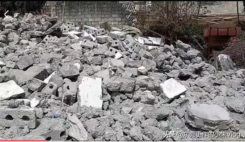 广西老七与越南阿芝的故事,广西老七和越南阿芝