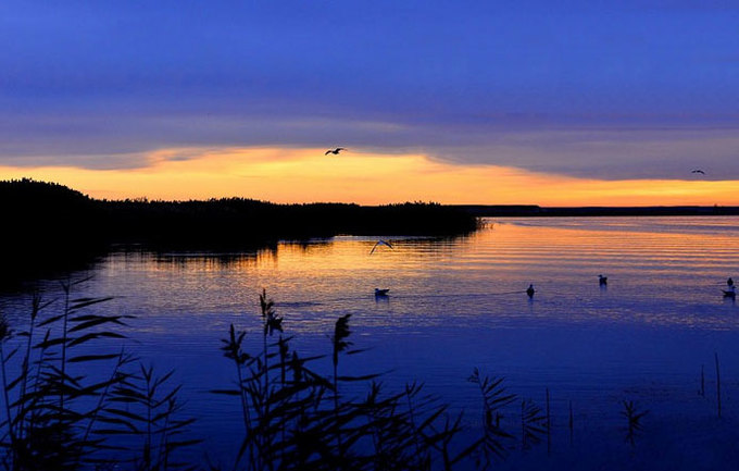 感受额济纳旗胡杨林的气息和美景,感受大漠深处最美秋色