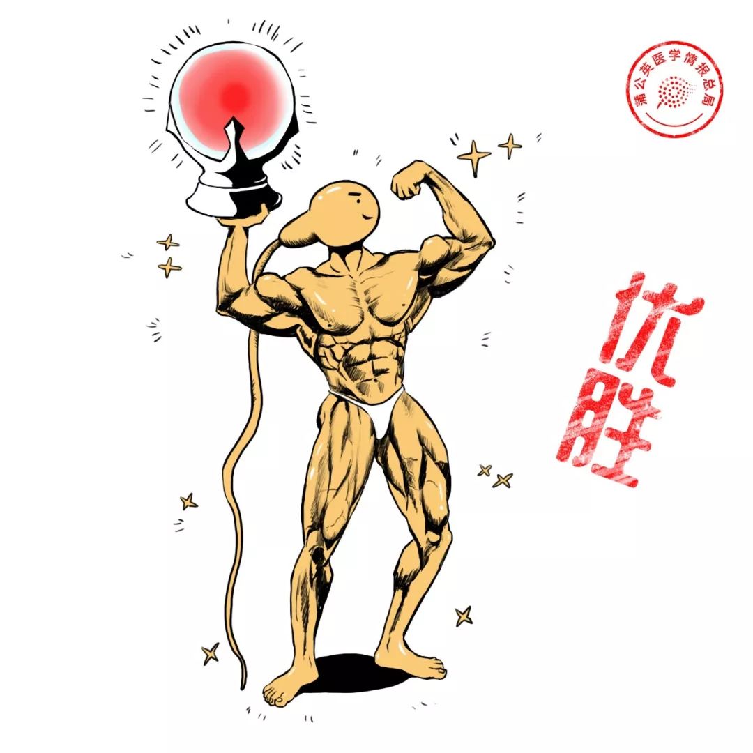 年龄大弱精少精怎么治疗最好,少精弱精无精和畸形率有关吗