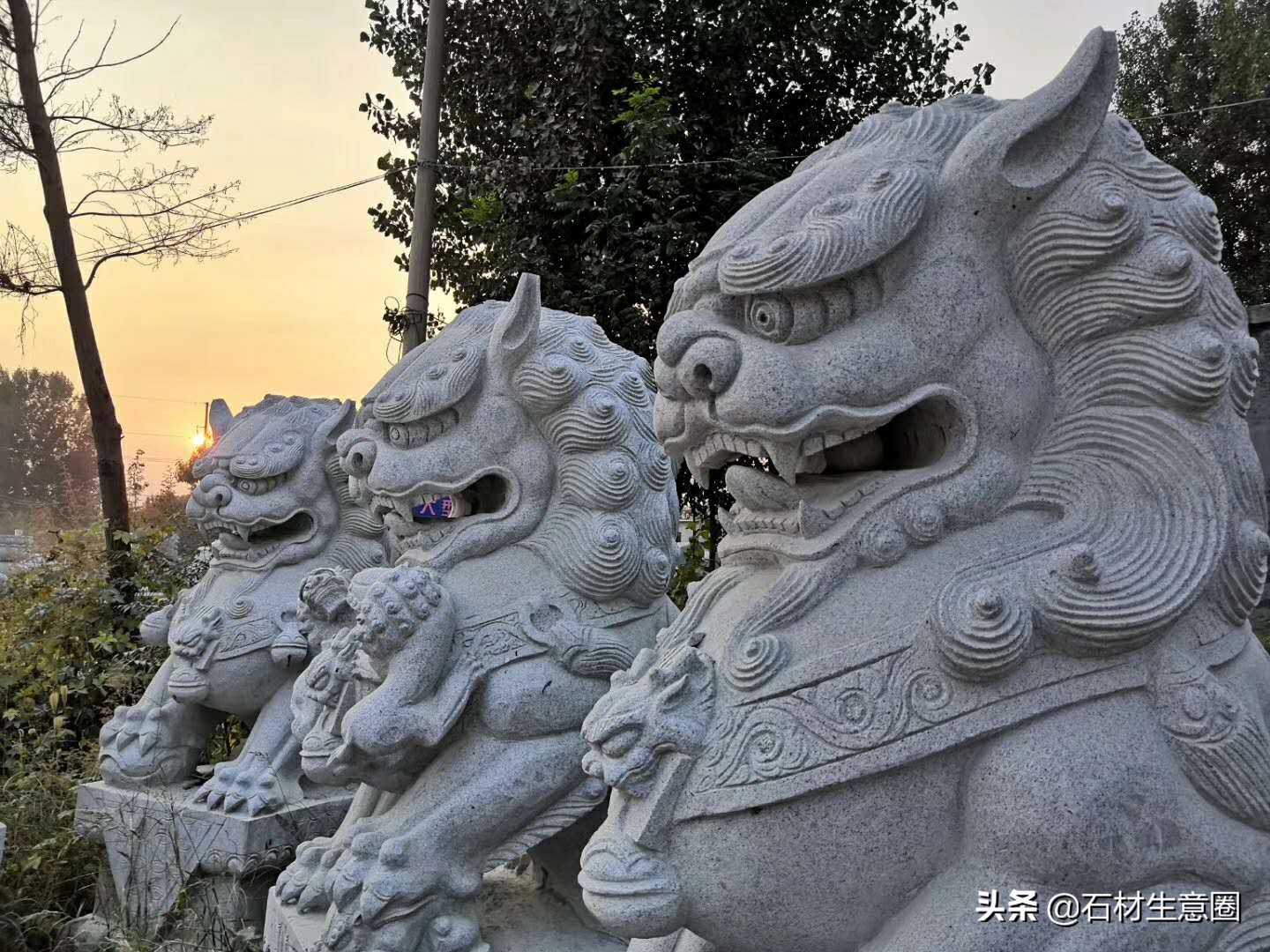 石狮子大全,100种石狮子图片大全