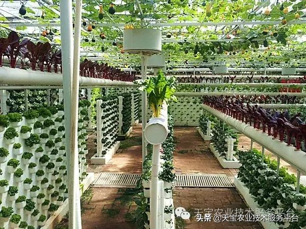 有关无土栽培的视频,无土栽培营养液配制和管理要点