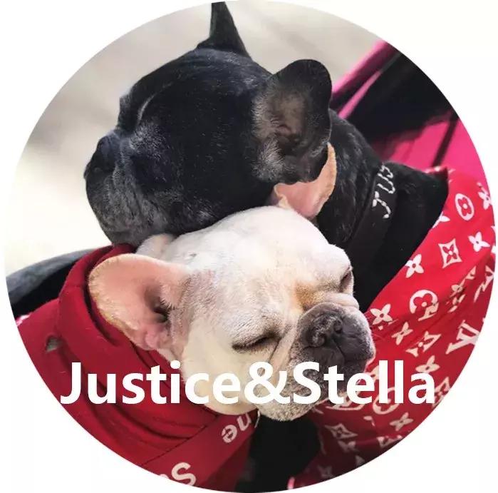 gucci和supreme联名马丁靴,guccisupreme鞋子