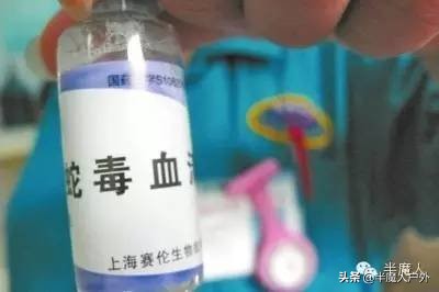 野外生存的知识有哪些,农村常见的蛇类你都认识吗