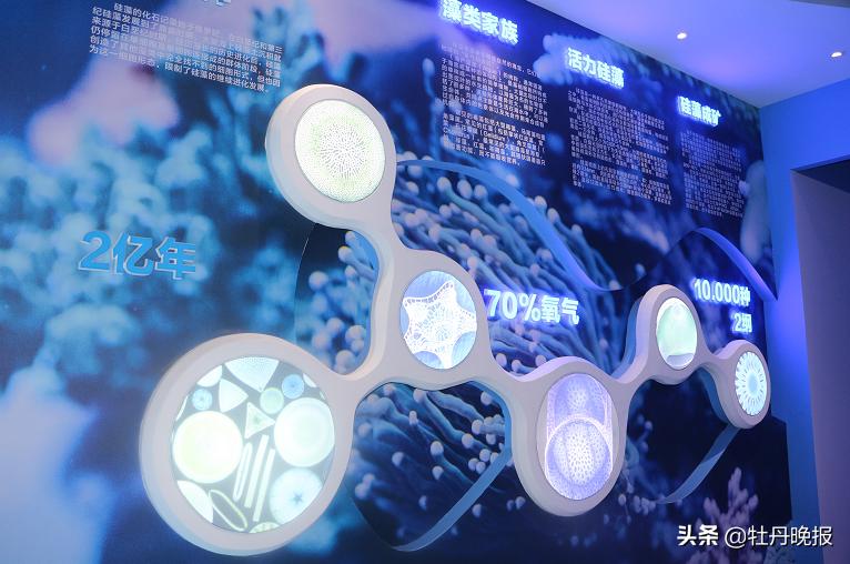 菏泽的医药产业发展怎么样,菏泽医药企业