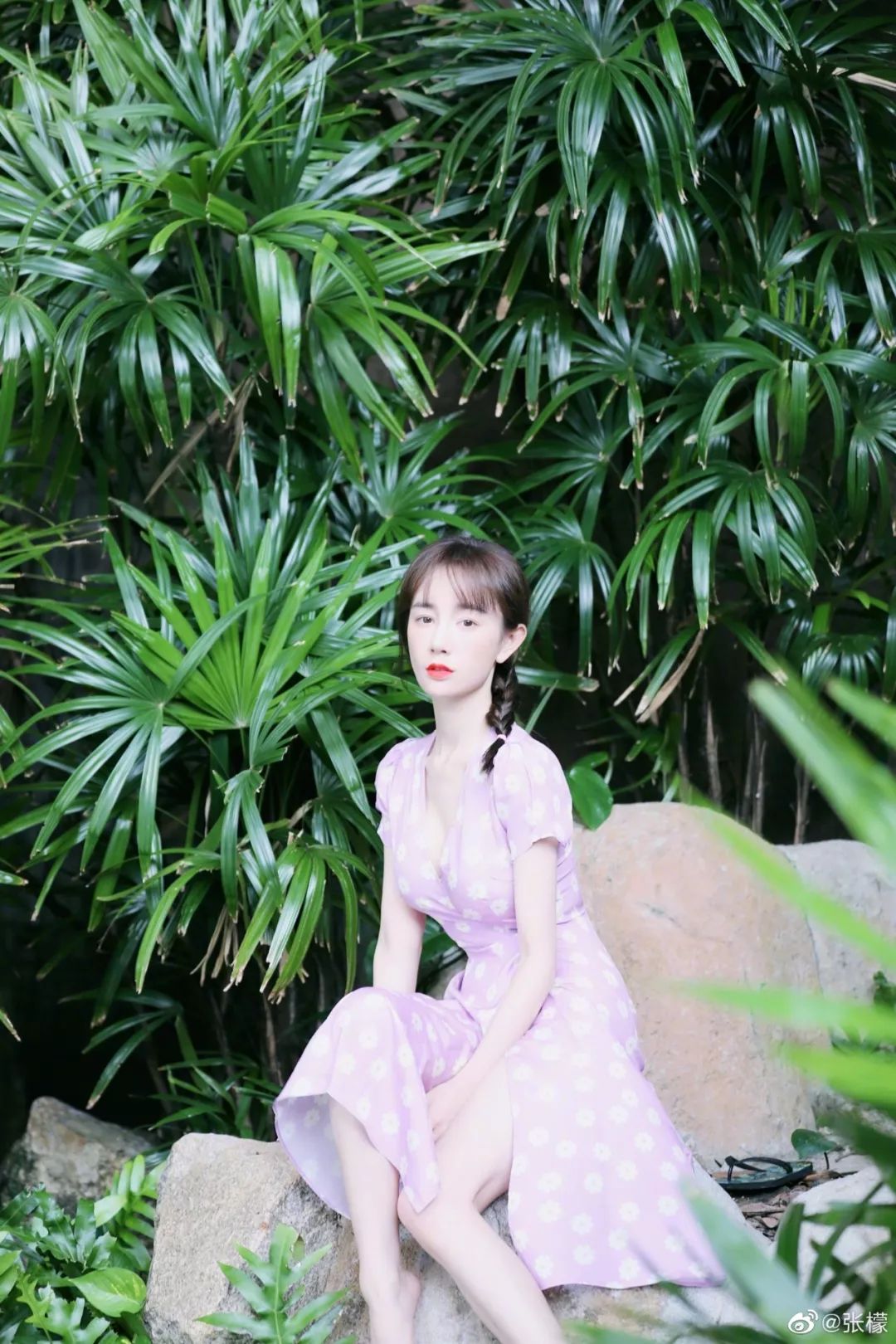 张檬直播被吐槽,张檬最近直播