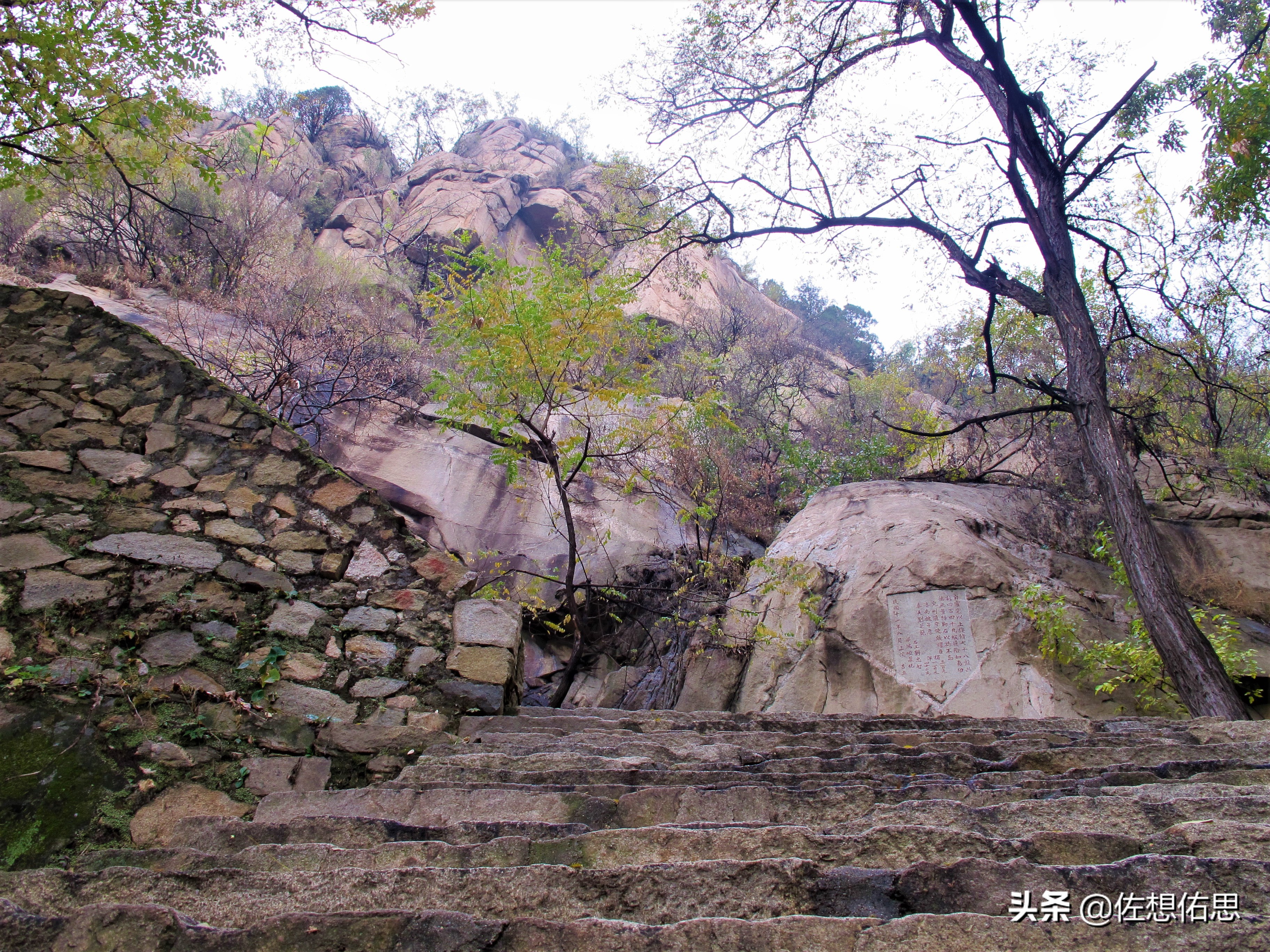 扇子崖优惠,泰安扇子崖免门票吗
