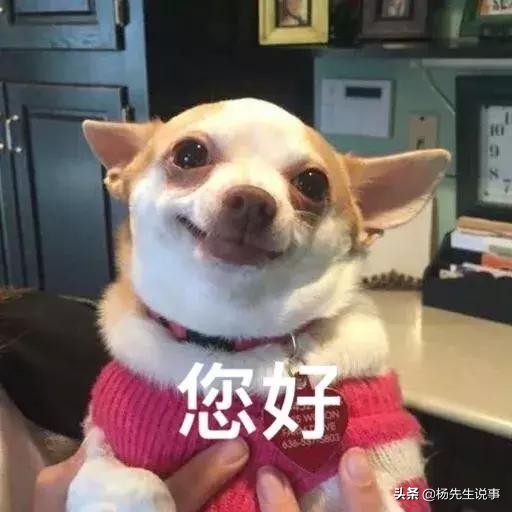 前戏要足，动作要帅，大召唤术