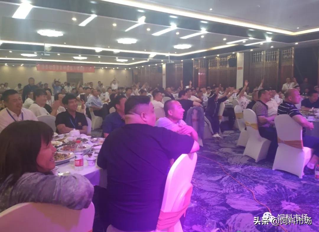 山东活力集团青岛,活力集团新品发布会