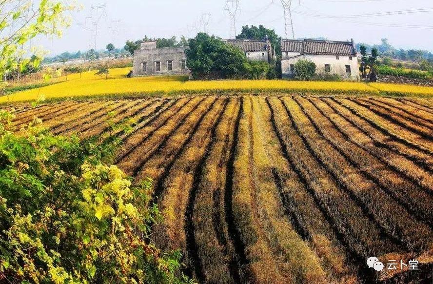 赶马车真实视频,赶马车的mv音乐