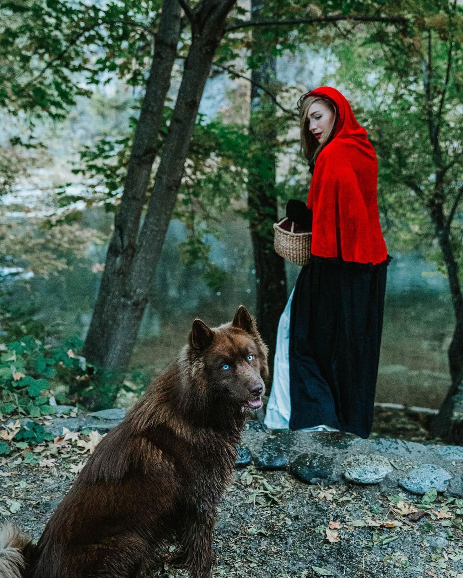 小时候像熊长大后像狼，主人说狗狗是热门犬种，但路人都猜不出