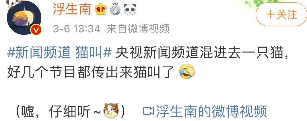 没想到,央视的名嘴们全都是猫奴