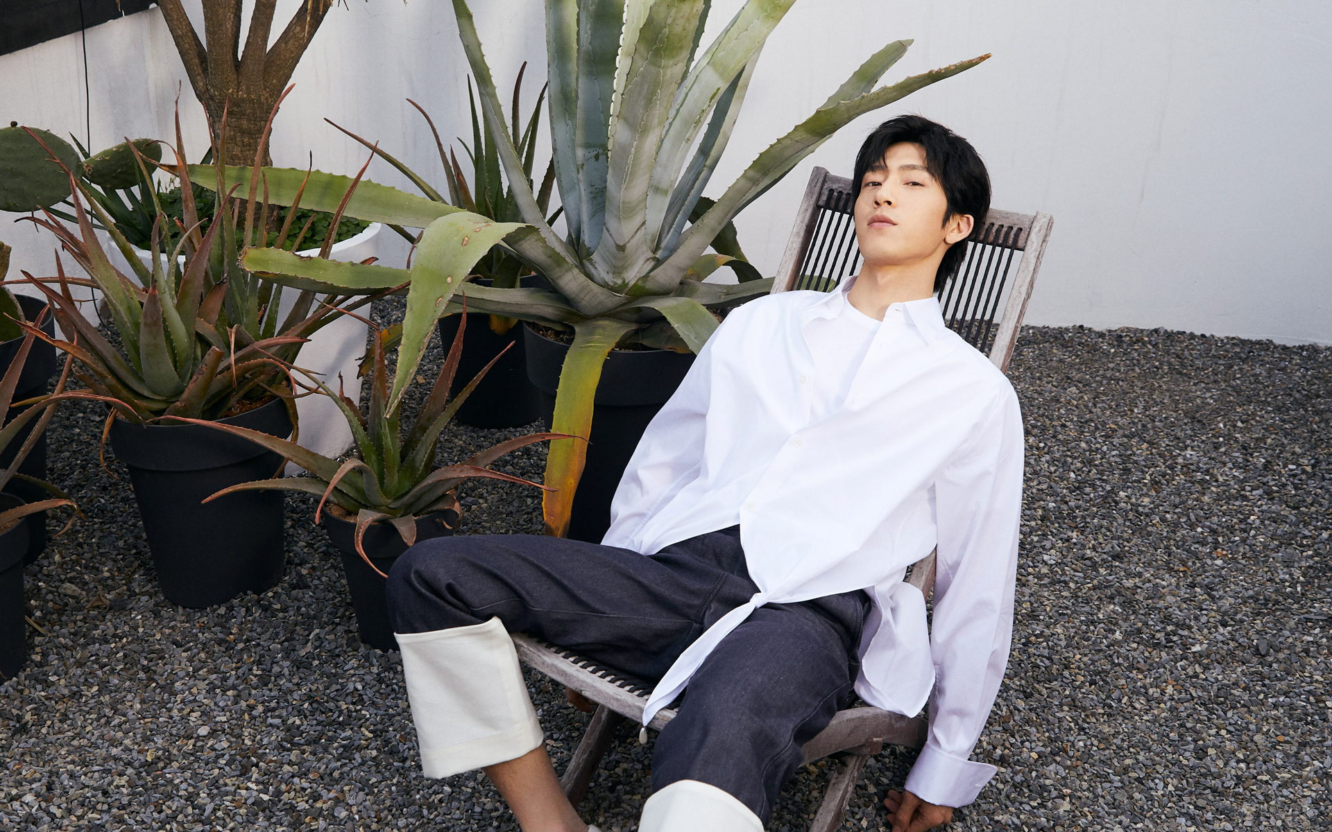 十二星座里面天蝎座的脸是什么脸,十二星座中谁是天蝎座的第一美