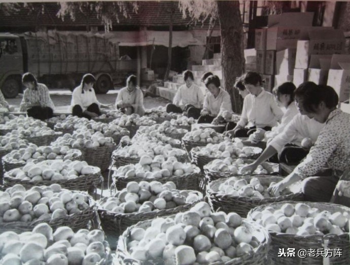 五十年代至七十年代人民公社,6070年代人民公社