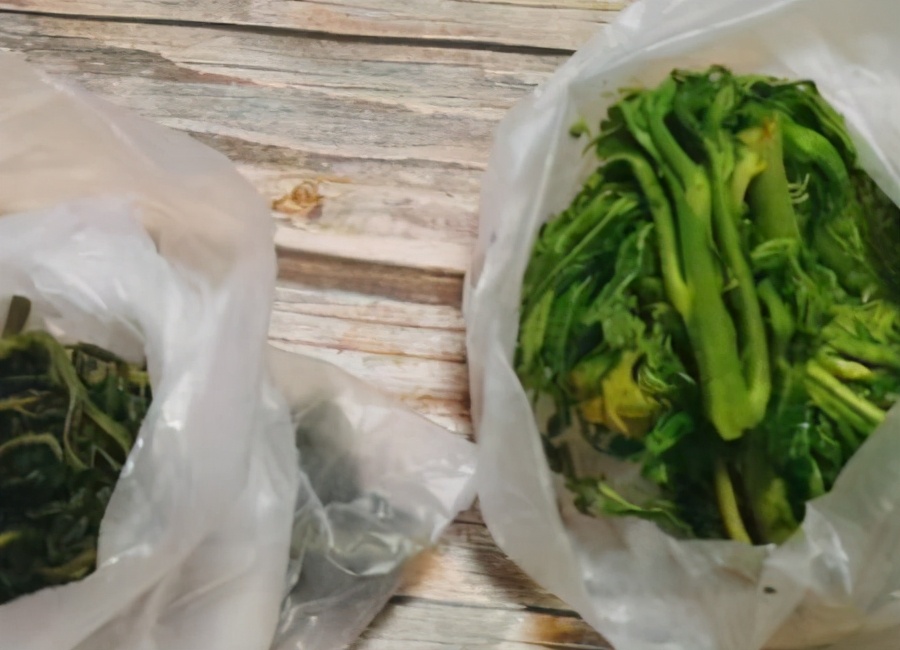 香椿要焯水后怎么腌制时间长,焯水腌香椿的正确方法