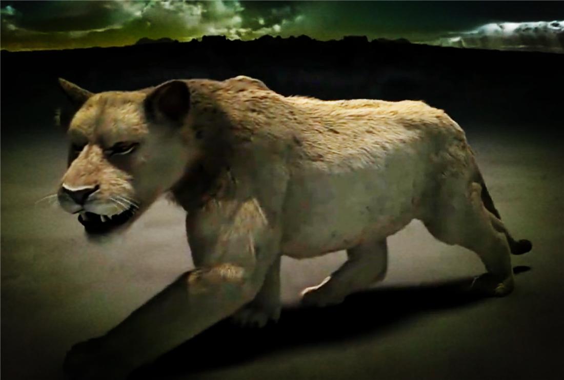 残暴狮母狮,残暴狮打得过原始狮吗