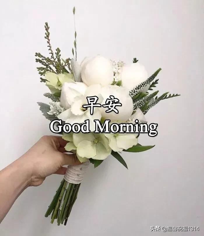 暖心问候语动态图,问候祝福语动态图片大全