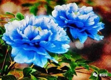 欧阳修袁枚,韩愈袁枚和欧阳修