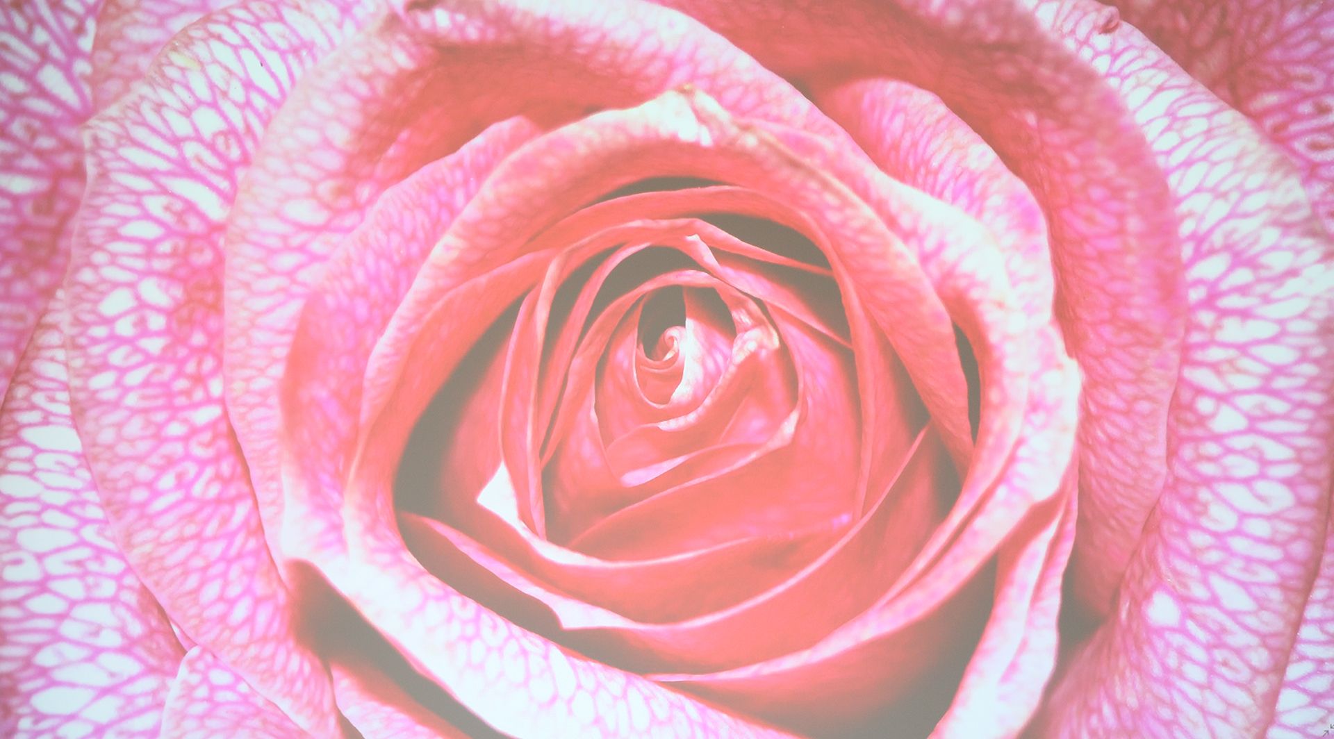 明基投影仪i707wifi,明基投影仪i707真实评测