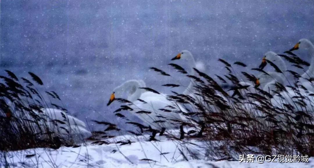 如何将戈壁滩拍出高级感,荒漠拍照片怎么拍出高级感