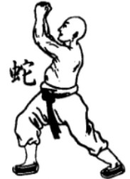 少林拳术秘诀，技击宗法入门