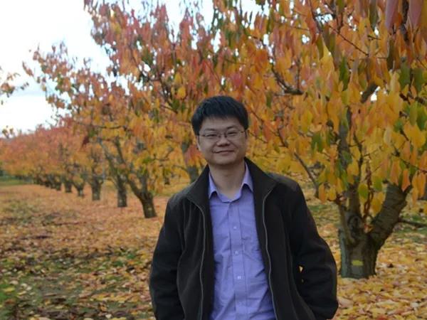 有机的光明——“汇”之篇