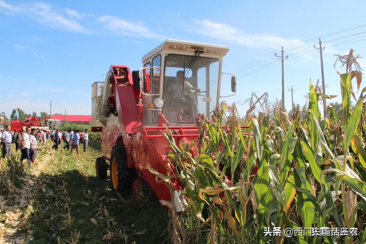 安徽粮食补贴2021年一亩地多少钱,粮补怎么查2021年每一亩地补多少