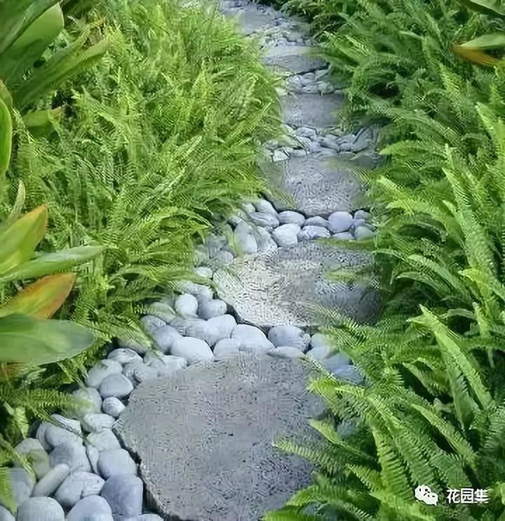 庭院小径设计方案,4招教你打造有档次的庭院