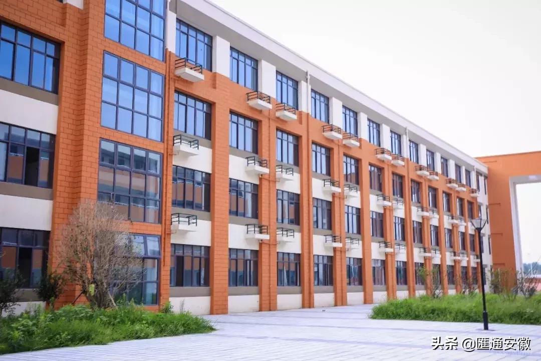 东坡区新增2所小学,颍州区学校最新消息