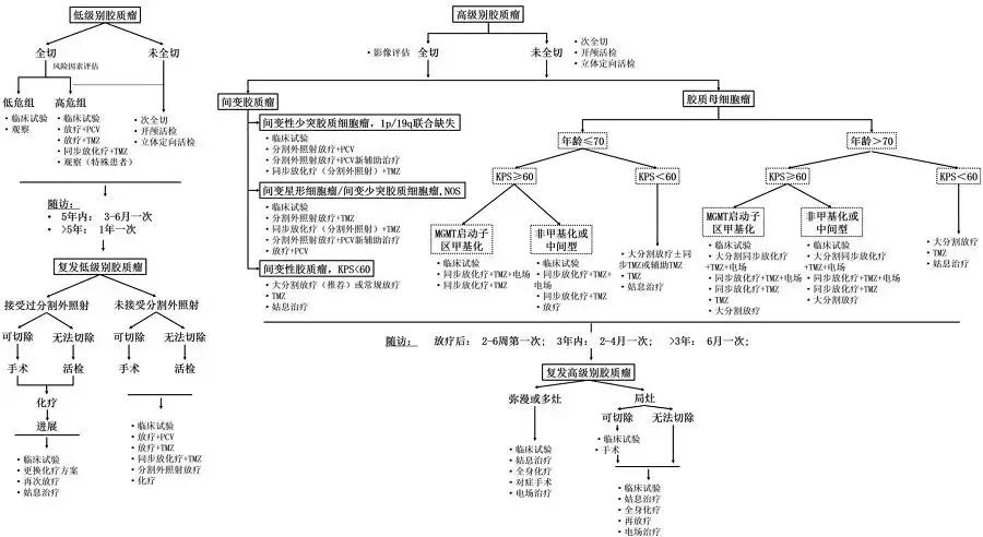 国家卫健委全文发布：脑胶质瘤诊疗规范,2018年版）