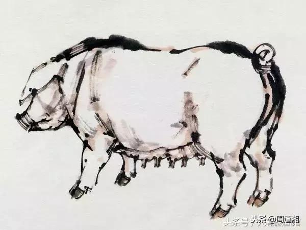 国画工笔猪图片,大写意画猪国画作品