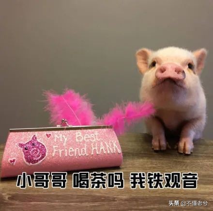 省钱不是抠门而是一种大智慧,省钱绝对不是在吃的方面省钱